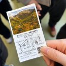 스몰포레스트(smallforest) | [나고야 근교] 다카야마 & 신호타카 로프웨이 자유여행 (ft. 야끼니꾸, 이자카야 맛집추천)