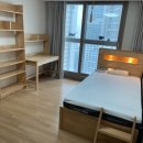 H1177 | 경주 아파트가구 추천! 벙커수납침대 30프로 세일중