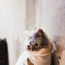 약초원한약국 이미지