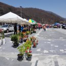 쇠바우골탄광문화장터 이미지