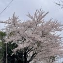 선흘1리낙선동경로당 이미지