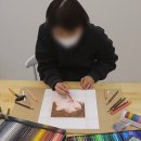 색연필로 쉽게 그리는 보타니컬아트 | 파버카스텔 알버트뒤러 수채 색연필로 인물화 그리기 | 우진 작가님 레슨