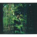 크러쉬온미(crush on me)