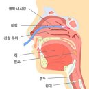 미라클사운드