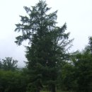 삼인목장 이미지