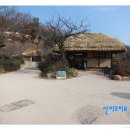 양동리향유 이미지