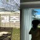 그해, 경주 이미지