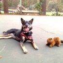 조이농장 이미지