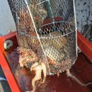 국치마을 이미지