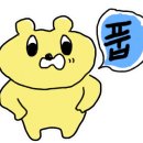 샤론헤어 이미지