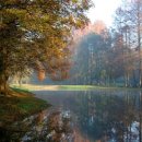 이른아침호숫가 이미지