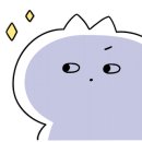 노코리카 이미지