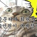 에프엑스렌트 이미지