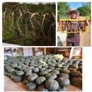 웅이네 농장 이미지