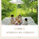 [아이랑가볼만한곳]프루떼피크닉 예산 사과밭 피크닉/ 농장체험 / 예산여행 /백설농부카페