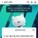 240403 신한 쏠 쏠퀴즈 , 신한페이판 출석퀴즈, 오늘의퀴즈 이미지