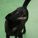 세나농장 이미지