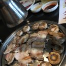 청도본가