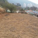 세구지 이미지