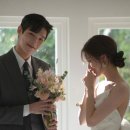 피아제이 이미지