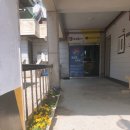 황금발 태권도장 이미지