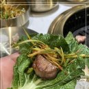 신도랜드 네이버블로그
