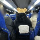 고르씨에 | 도쿄 디즈니씨 입장권 구매 DPA 티켓 어플 방법 라푼젤 겨울왕국 디즈니랜드 비교 솔직 후기