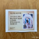 애견취향 이미지