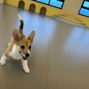 포우 파라다이스 이미지