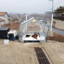 안다켄넬 | 길고양이 겨울집 만들기 길냥이 추운 겨울나기