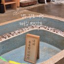감포읍행정복지센터 | 경주 감포 해국길 1925감포 :) 엄마랑 단둘이 여행 이효리 방문 핫플
