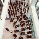 배곧라라중학교 이미지