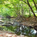 선운사의추억 이미지