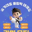 국가대표 올림픽 태권도장 이미지