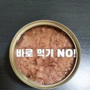 참치OK
