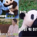 데굴데굴 이미지