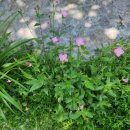 김연화농장 이미지