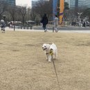 평촌나무동물병원 이미지