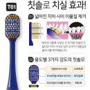 올리브영 칫솔 판매순위! 칫솔 변경주기 알아보기