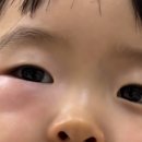 라메종의원