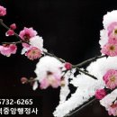 세븐직업소개소 이미지
