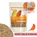 블루버디