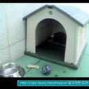 곰이밥통