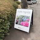 카페나들목