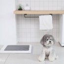 배변의기술 이미지