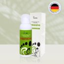 레푸스송탄점 이미지