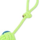 재미나개 이미지