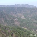 선명사슴농장 이미지