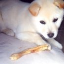 요미야 놀자 이미지