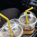 신사-214 | [일본] 엄마랑 대마도 자유여행 #1 | 노바호, 히타카츠항 진렌트카, 에보시타케 전망대, hotel jin...